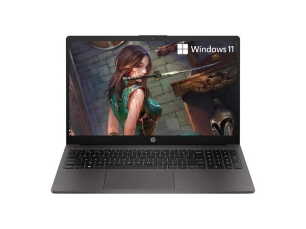 NOT. HP 250 G10 Intel I3-N305 8GB 512GB 15.6INCH HDMI 2USB-A USB-C W11-H Gray