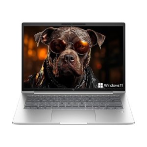 NOT. HP ProBook 440 G11 Ultra 7 155U 16GB 1TB 14INCH HDMI 2USB-C USB-A W11-Pro Silver