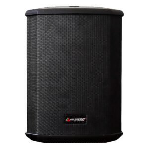 PARLANTE ITALY ITL-PRO11 6.5Inch 150W RMS BT USB RECARGABLE NEGRO